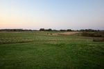 40 acres of pasture